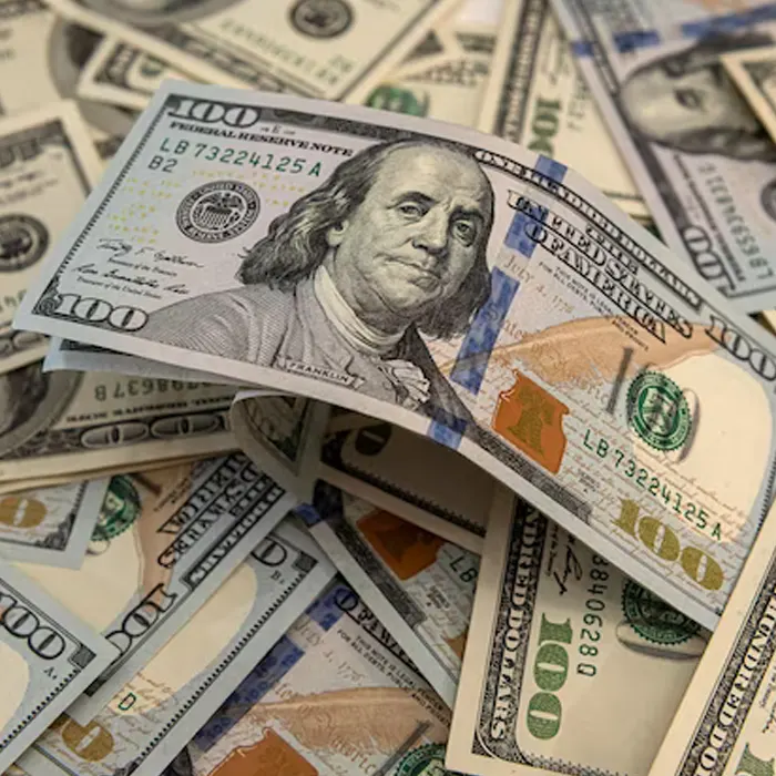 foreign currency dollar 