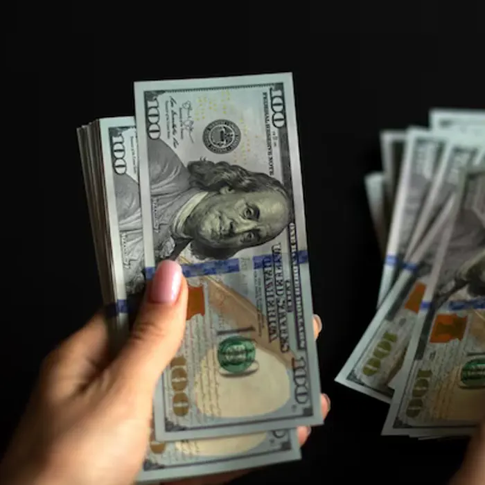  a lady counting foreign currency dollar