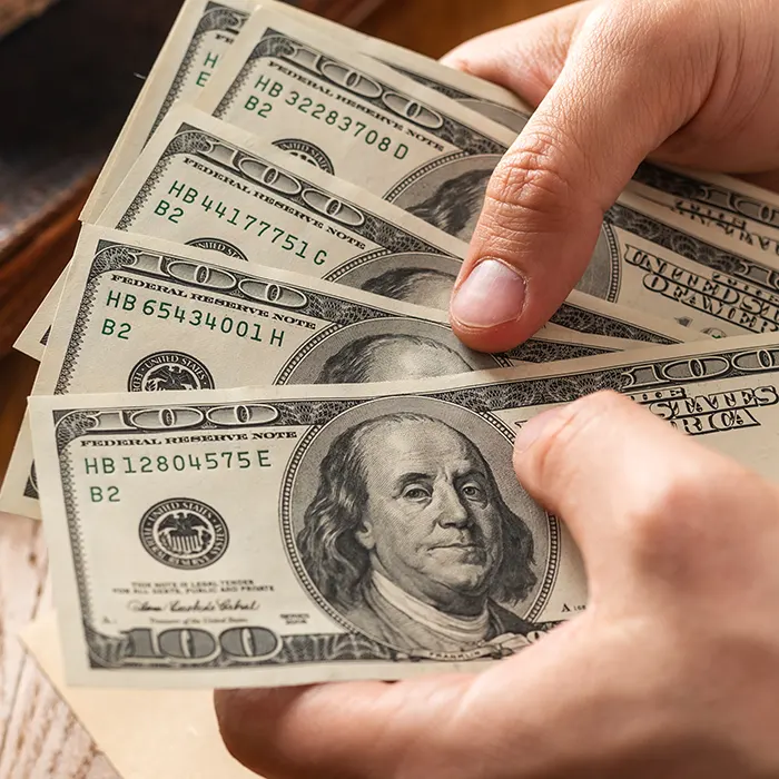 a hand holding foreign currency dollar